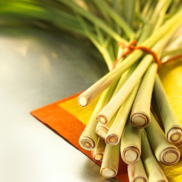 Lemongrass stalks in a bundle