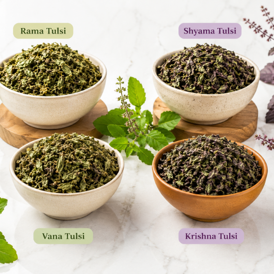Dried Tulsi Leaves